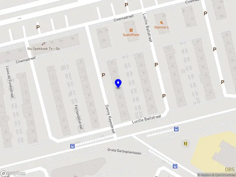 Nieuw bedrijf Roshanak care