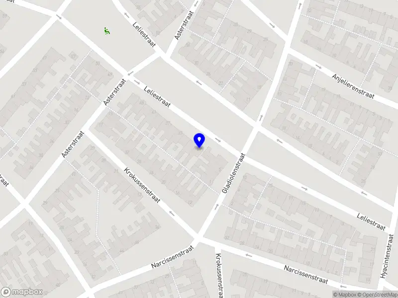 Puur Coature Volendam