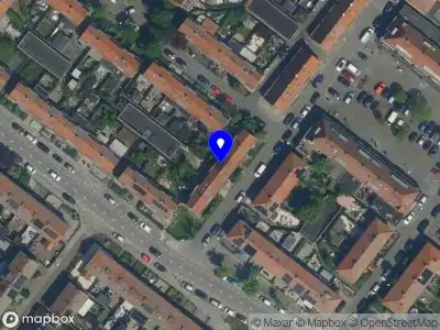 Ymke Fros Tribe Holding B.V. Amsterdam