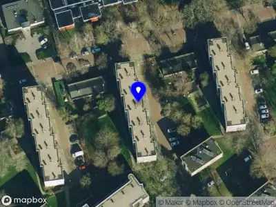 Mountain Consultancy