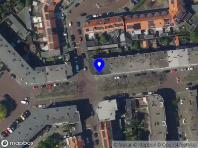 Nieuw bedrijf Lili Petkova