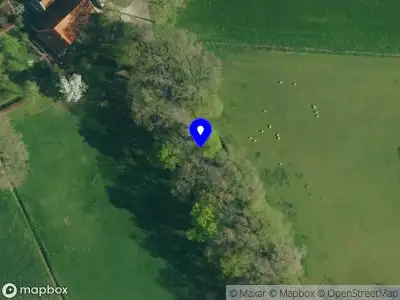 Nieuw bedrijf Demi Scholten