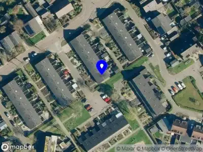 Nieuw bedrijf Mikki Martens