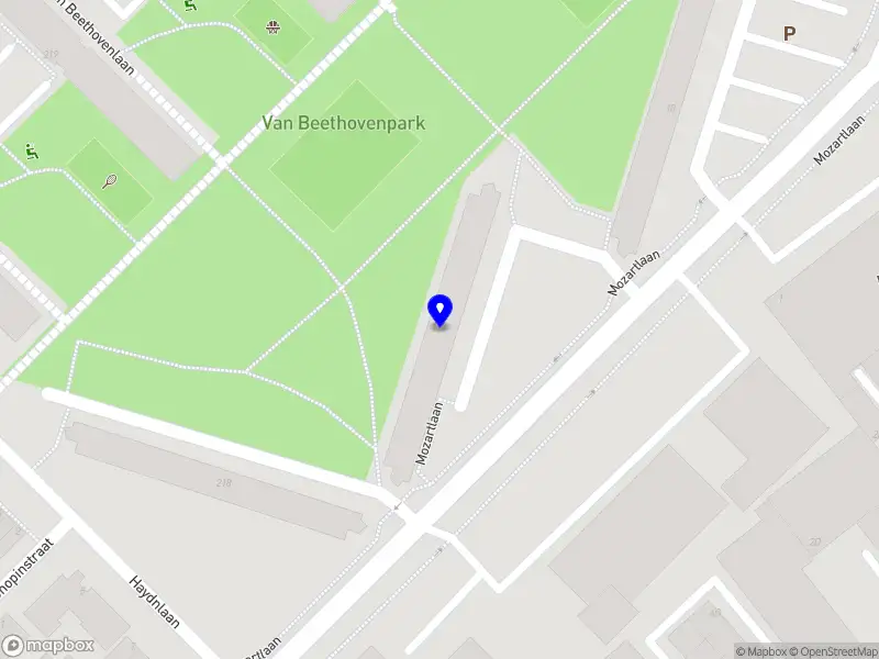 Ondersteuning bij Selma Maassluis