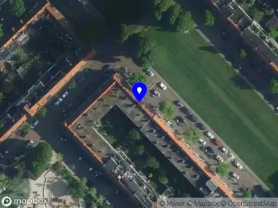 Restore Forest Amsterdam