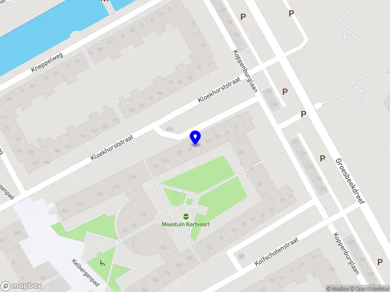 Nieuw bedrijf Chacho Monkeys