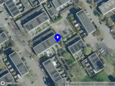 The New Guy Recruitment 's-Hertogenbosch