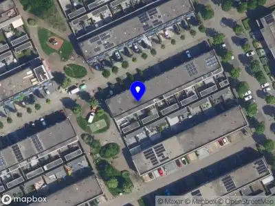 Blauwe Dolfijn Almere
