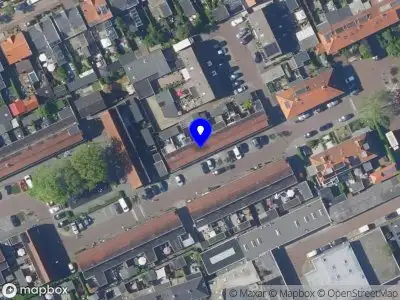 Mevrouw Kikker BUSSUM