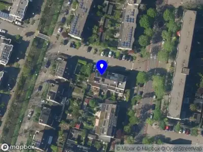 Paula Adriana Design