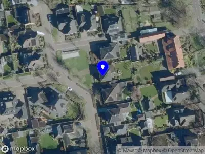 Nieuw bedrijf Organistas