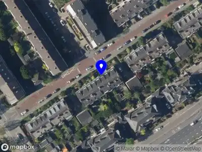 Peacetulip.com 's-Gravenhage