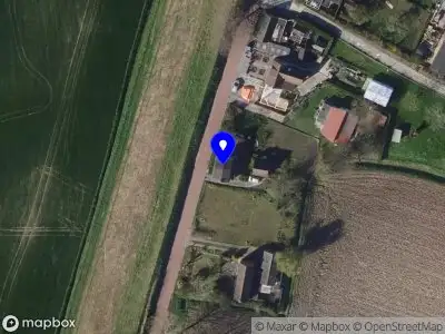 Cotyn Vogelwaarde