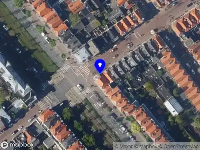 Het Haagsche Brandmerk