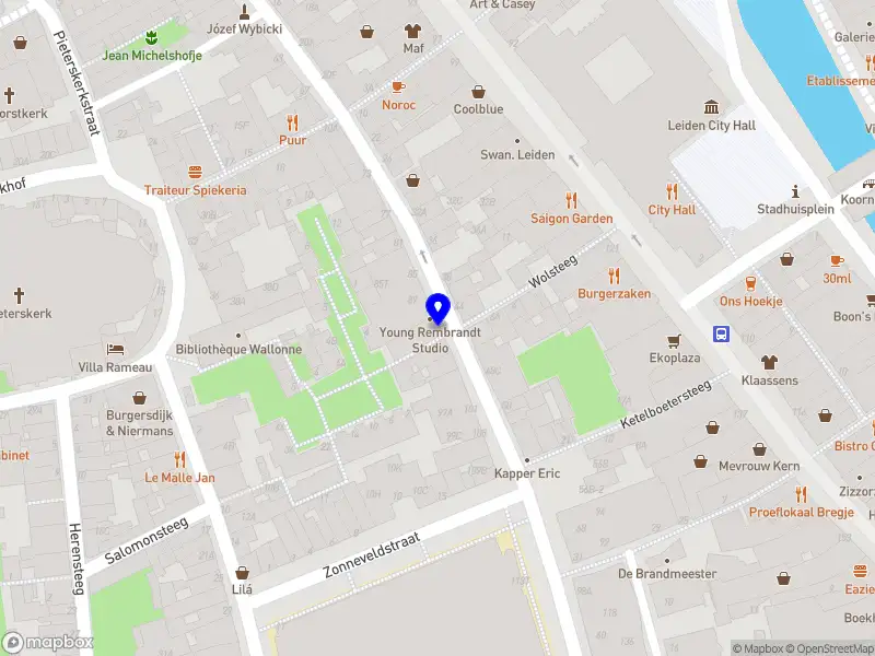 Stout Zwijntje Producties Leiden