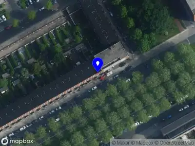 A magnolia Amsterdam