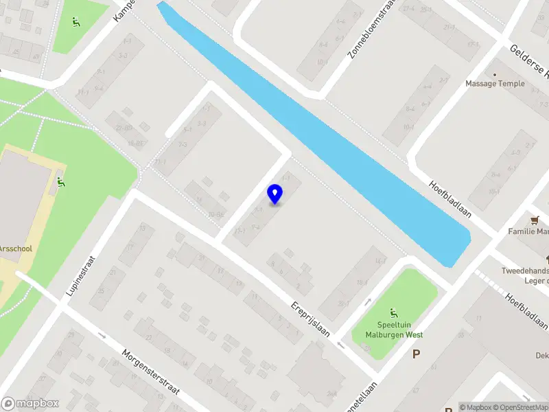 Nieuw bedrijf Salsa Services