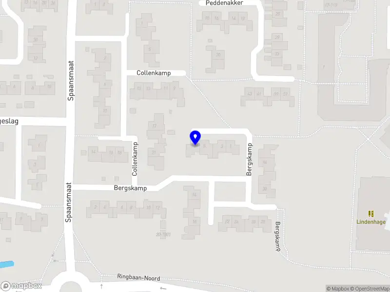 Mark Kruisman Digital Business Solutions