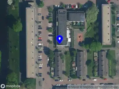 NARCIS DASCALU Haarlem