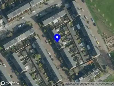 Fleur Verpleegkundige