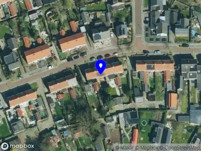 Silver Linings Hondentraining