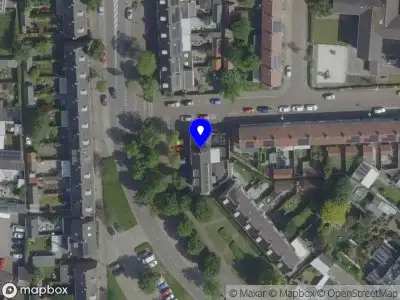 PINO Tattoo Services