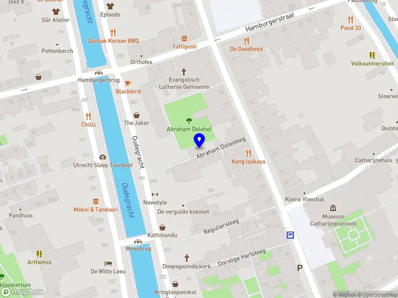 Carlijn de Jonge Utrecht