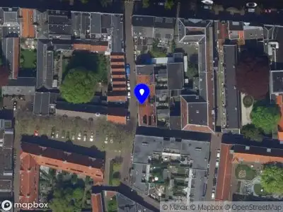 Groene Otter Leiden