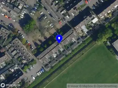 Nicole's dog walking & pet sitting services