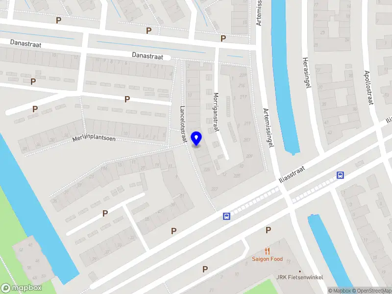 Naris As Social Worker