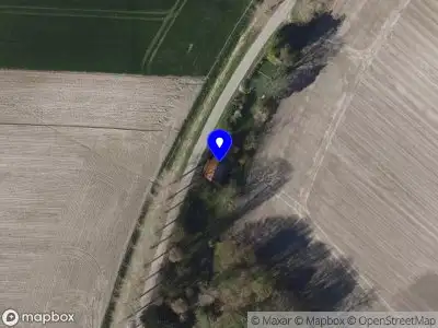 Blossoming Business Kuitaart