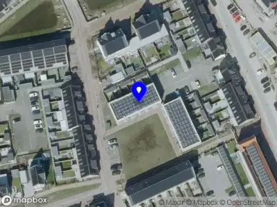 Moonshine Begeleiding