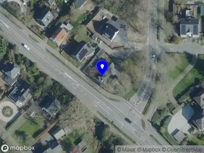 Nieuw bedrijf Milja - Cultural Chameleon