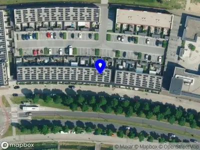 Coaching Colorful Human