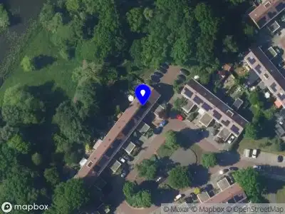 C. van der Veer, Pedagoog