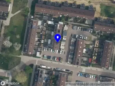 Miracle Kids by Aysun