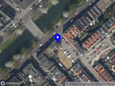 Geliefde olifant Rotterdam