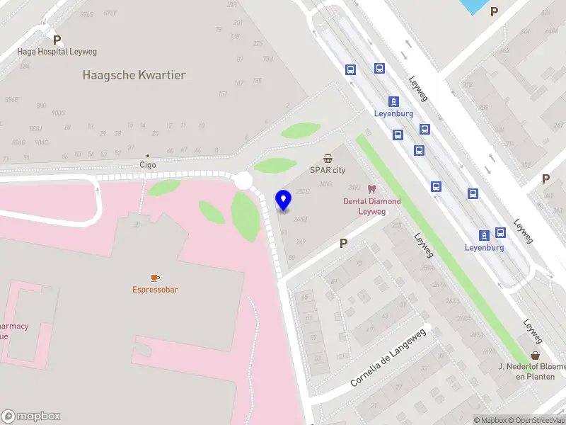 Leemborg Diëtisten B.V.