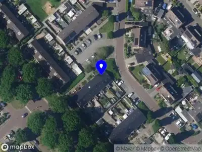 Tica’s cares and coaching