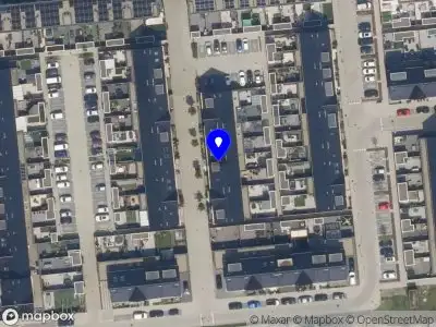 Neline Verpleegkundige