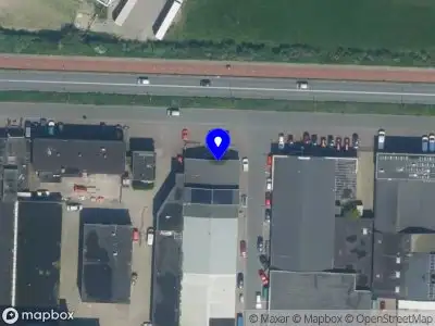 Tinca-Tinca Fight Shop IJMUIDEN
