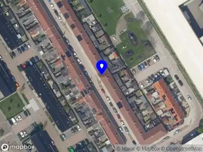 Stichting Young Diverse Leaders