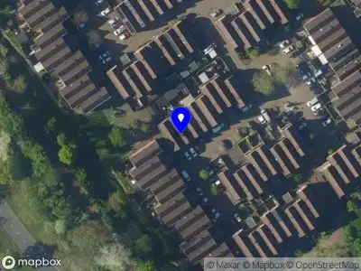 Steinfelder onderhoud