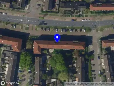 Viola service Utrecht
