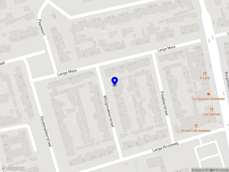 Pakistani Brainport Community