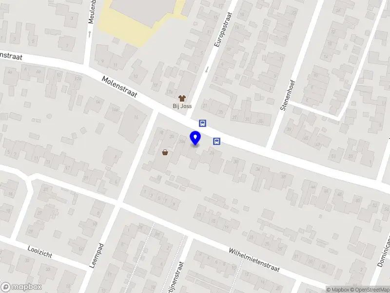 Saddlefitting by Dani