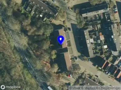 Auto poetsstation de wasbeer