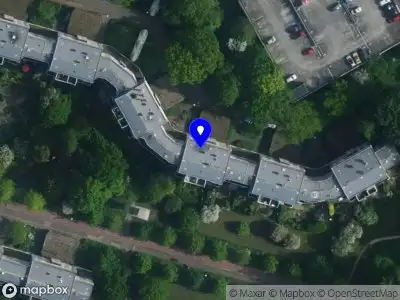 Kelly Jane Amsterdam