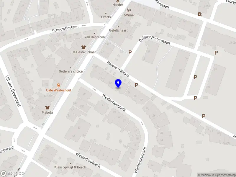 MAS Design Haarlem