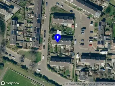 Boomverzorging Degen